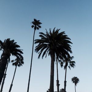 Meet your Posher, Elle